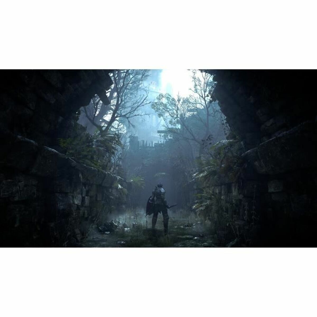Видеоигры PlayStation 5 Sony Demon's Souls
